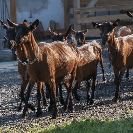Agroturistika Kozi Farma Rožnov pod Radhoštěm Exterior foto